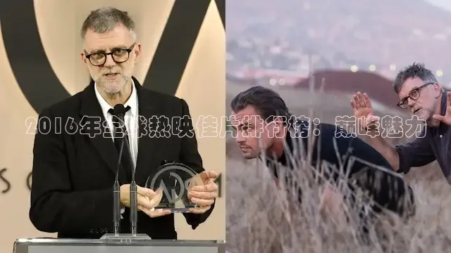 2016年全球热映佳片排行榜：巅峰魅力